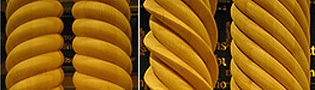 click for rope columns